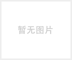 5号高容量镍氢电池